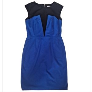 Calvin Klein Dress, Size 10